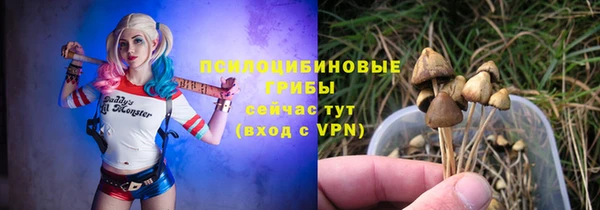 ГАЛЛЮЦИНОГЕННЫЕ ГРИБЫ Абинск