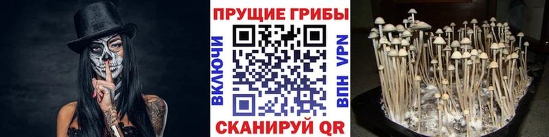 Галлюциногенные грибы прущие грибы  Покачи 